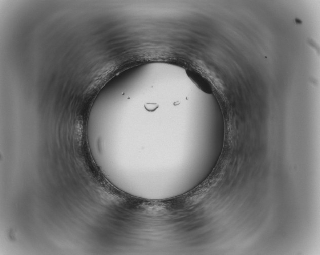 X0000096150113200802081421