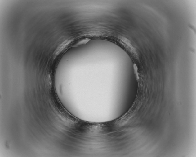 X0000096150116200802081420