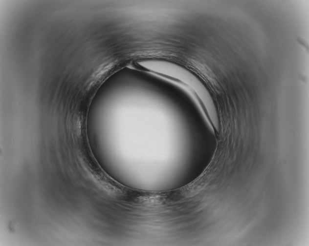 X0000096150120200802081420