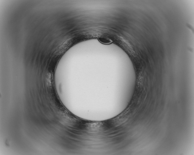 X0000096150122200802081420