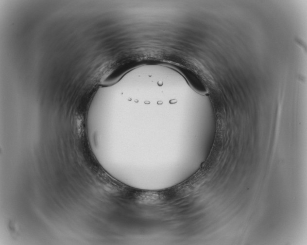 X0000096150123200802081420