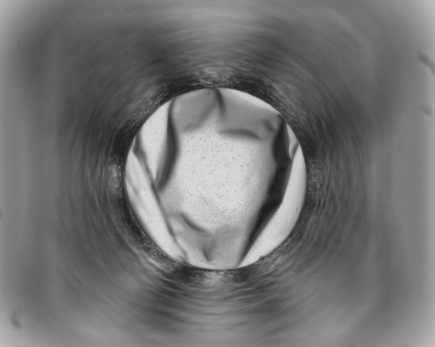 X0000096150130200802081420