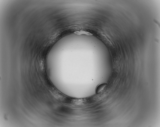 X0000096150131200802081420