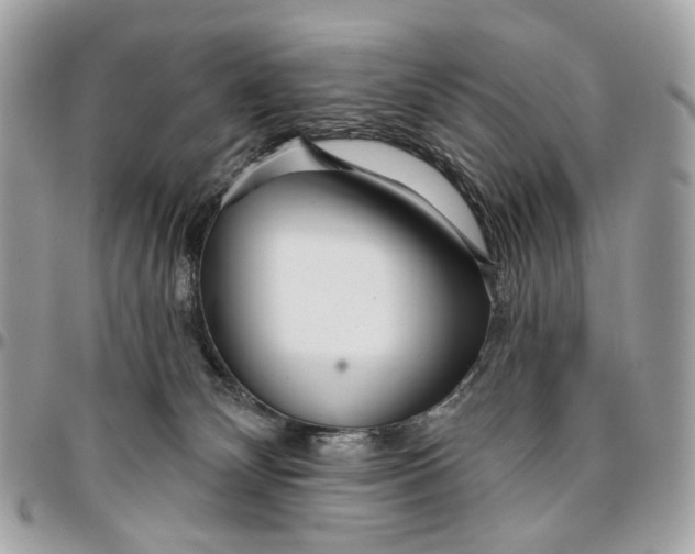 X0000096150132200802081420