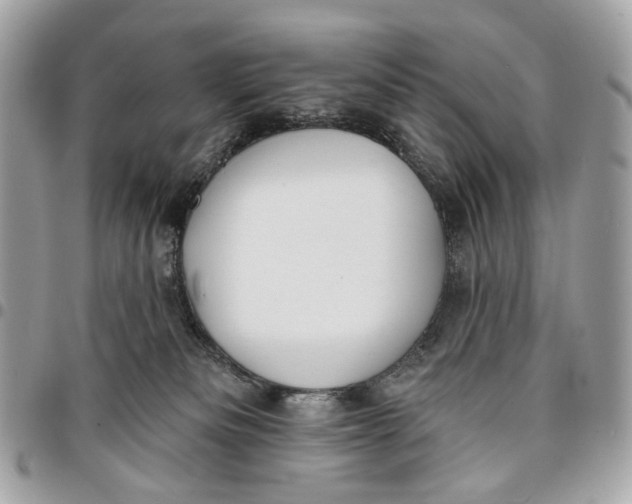 X0000096150133200802081420