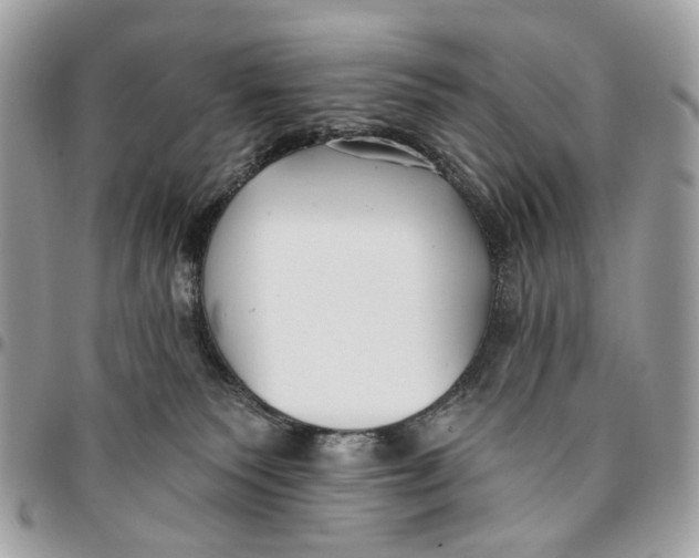 X0000096150135200802081420