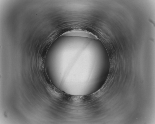 X0000096150136200802081420