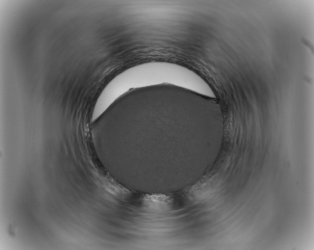 X0000096150137200802081420