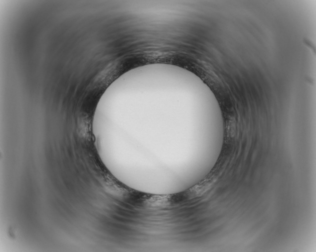 X0000096150138200802081420