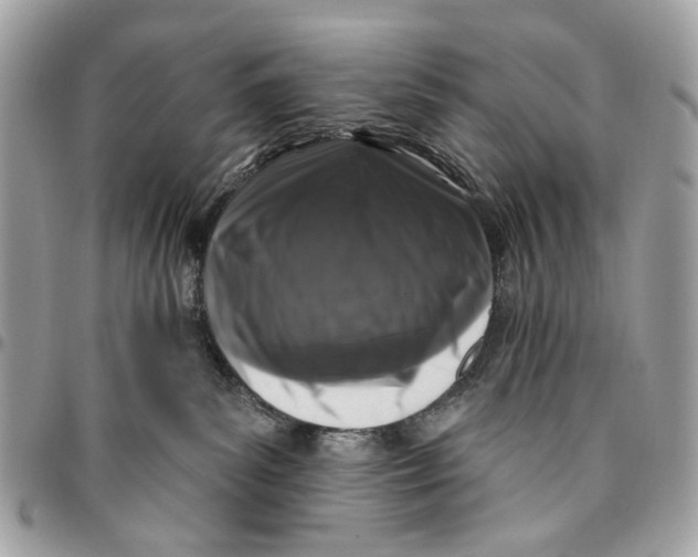 X0000096150139200802081420