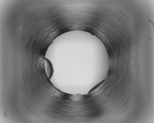 X0000096150142200802081420