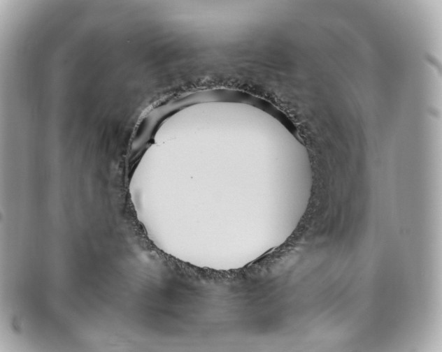 X0000096150144200802081420