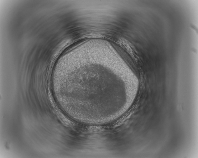 X0000096150145200802081419