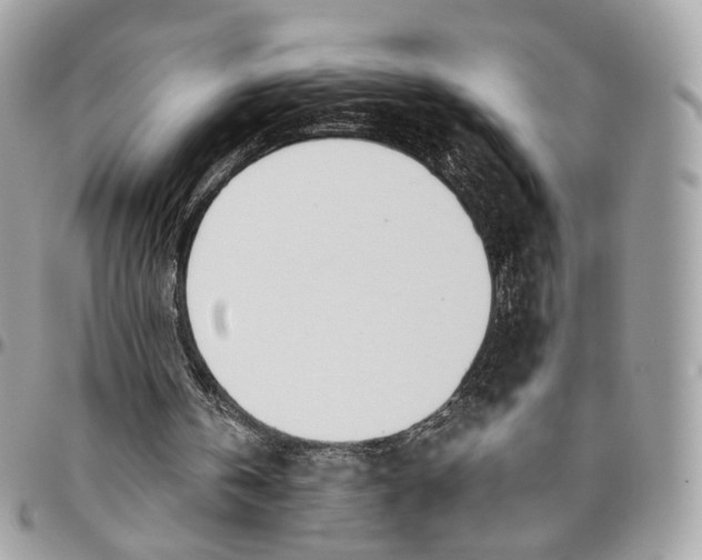 X0000096150146200802081419