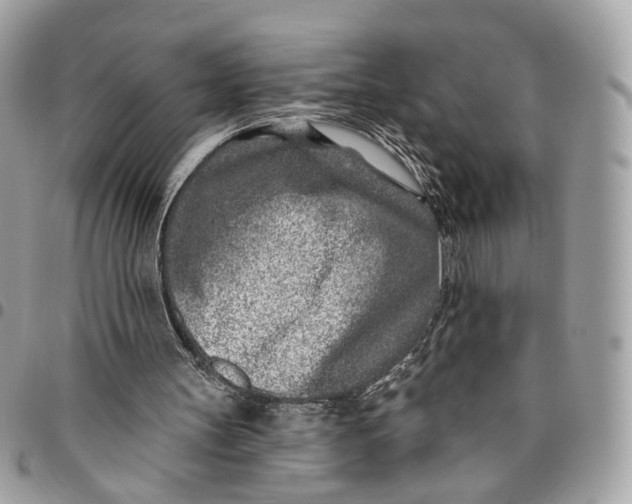 X0000096150147200802081419