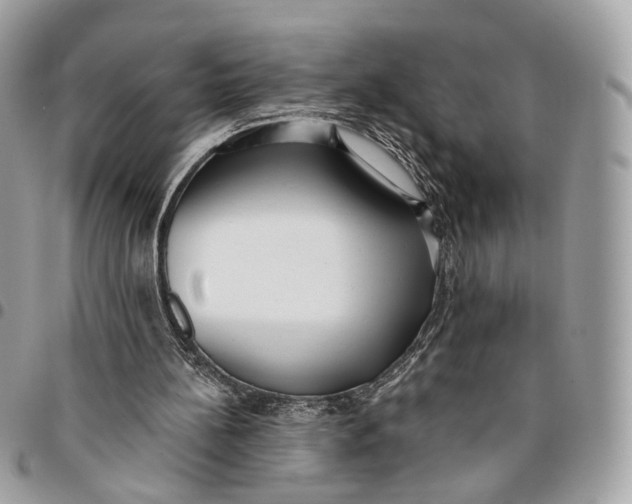 X0000096150148200802081419