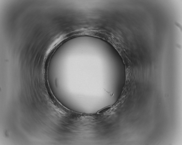 X0000096150150200802081419