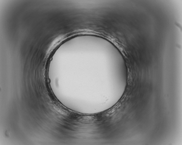 X0000096150151200802081419