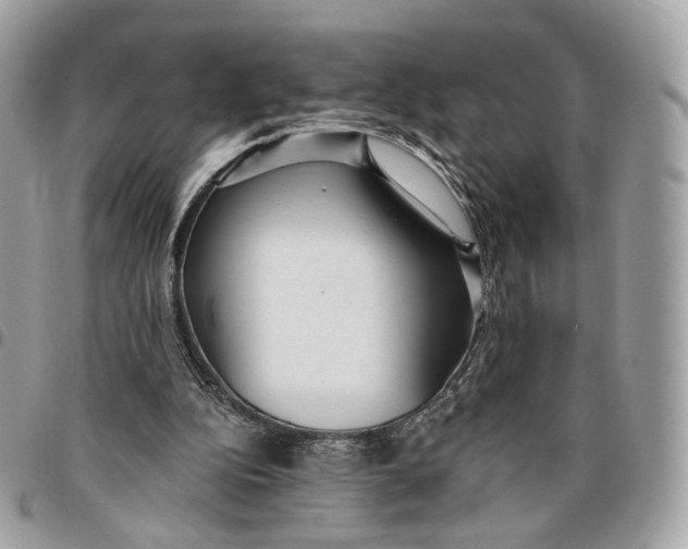 X0000096150152200802081419