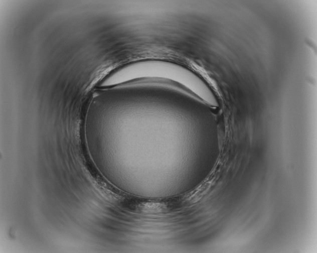 X0000096150154200802081419