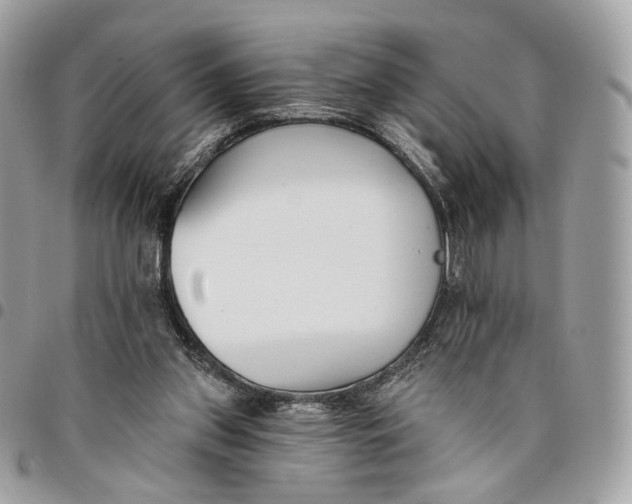 X0000096150157200802081419