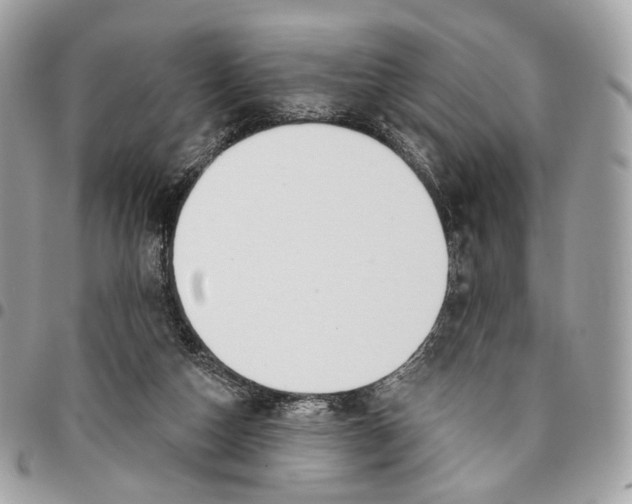 X0000096150162200802081420