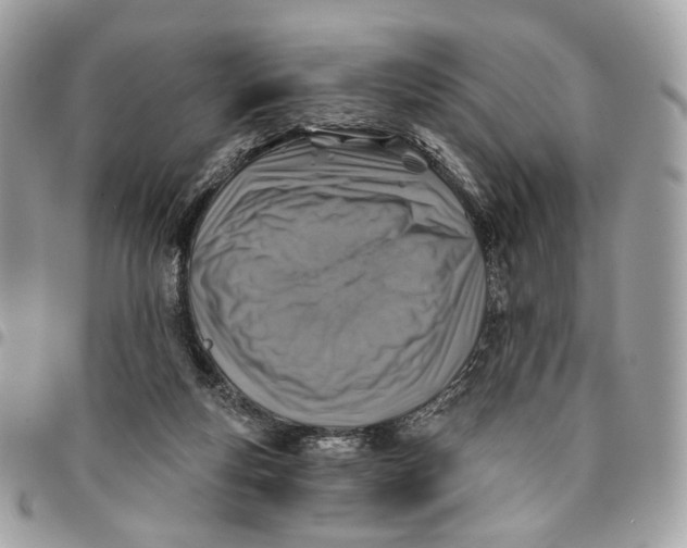 X0000096150163200802081420