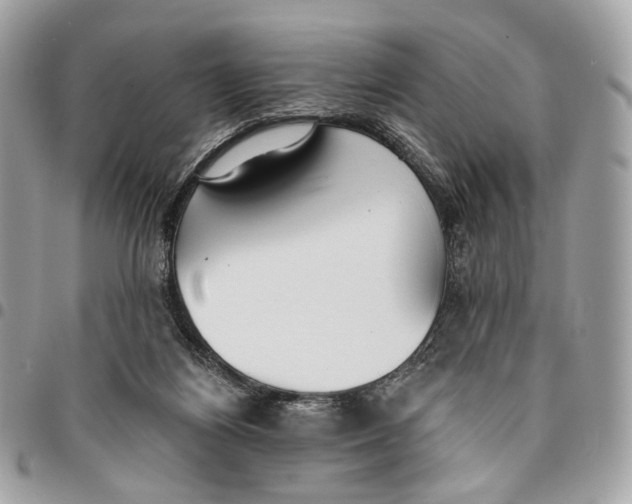 X0000096150164200802081420