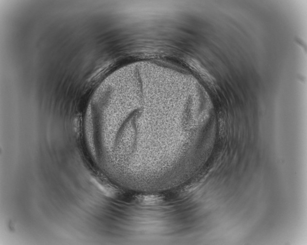 X0000096150165200802081420