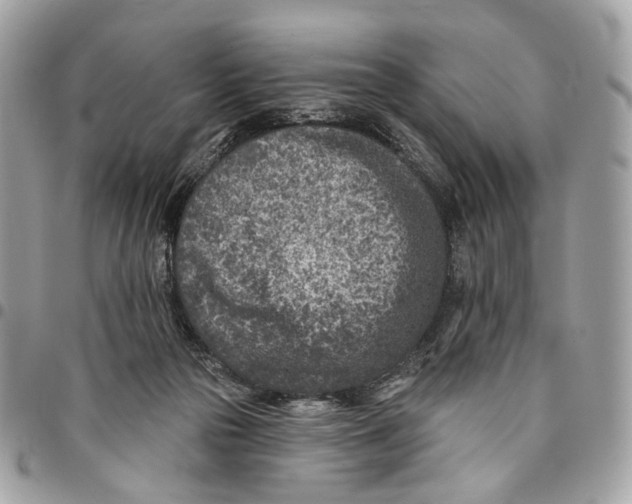 X0000096150169200802081420