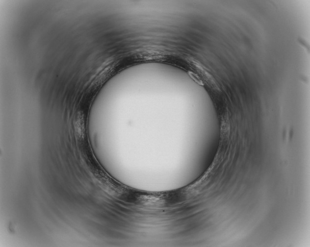 X0000096150170200802081420