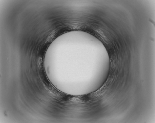 X0000096150171200802081420