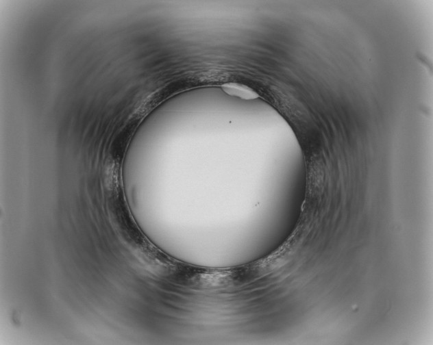 X0000096150172200802081420