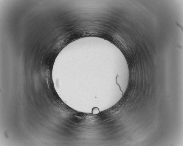 X0000096150173200802081420