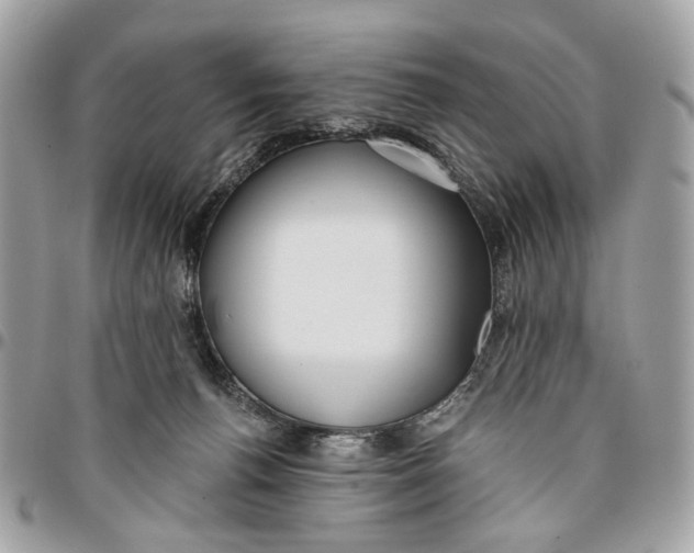 X0000096150176200802081420