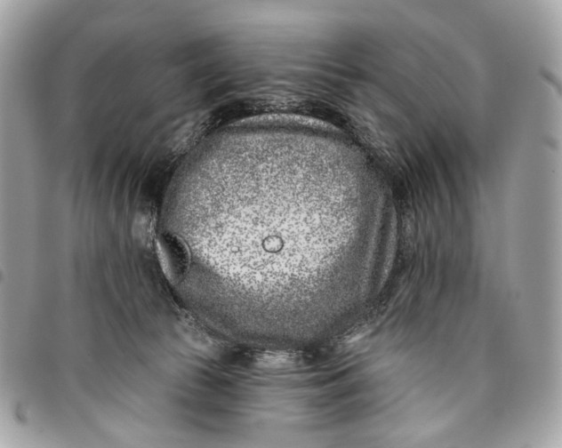 X0000096150177200802081420