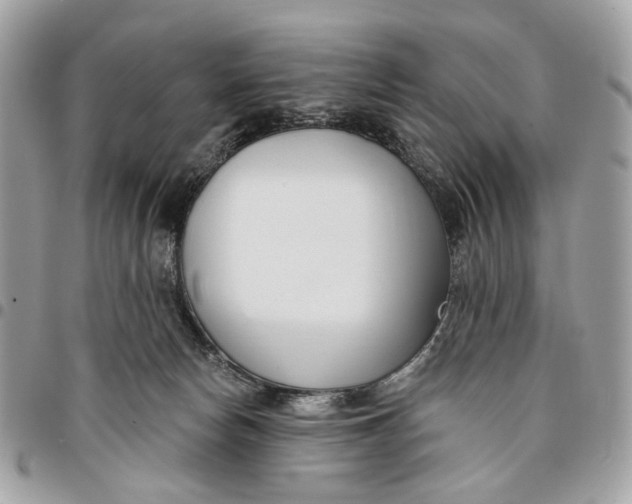 X0000096150178200802081420