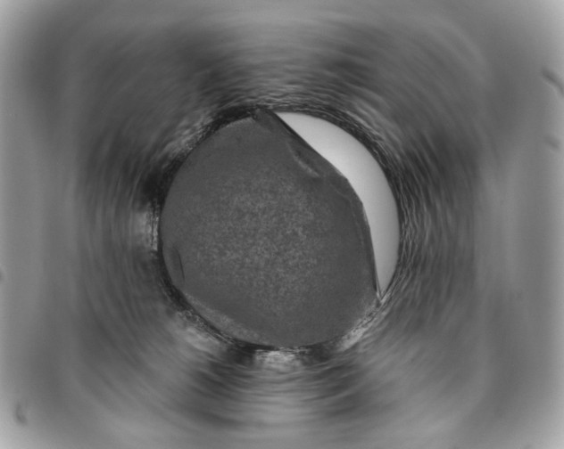 X0000096150180200802081420