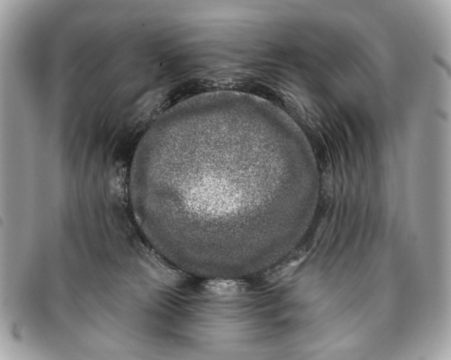 X0000096150181200802081420