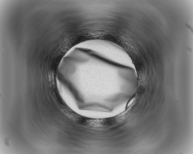 X0000096150182200802081420