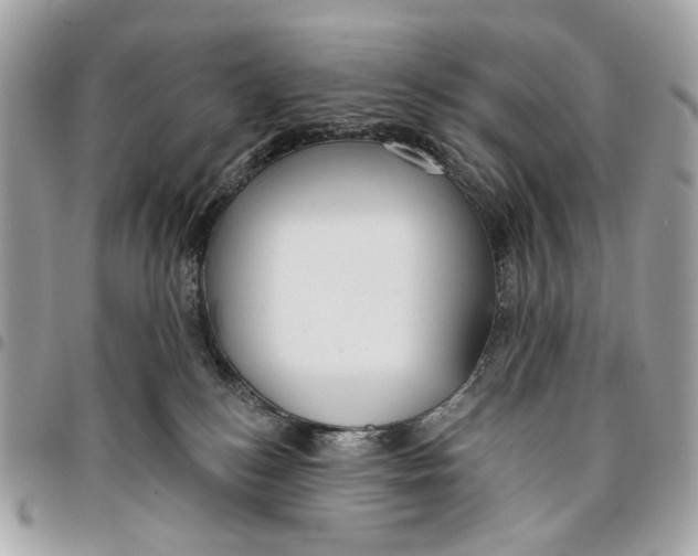 X0000096150184200802081420