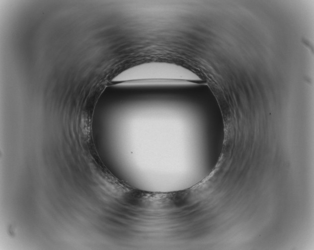 X0000096150186200802081420