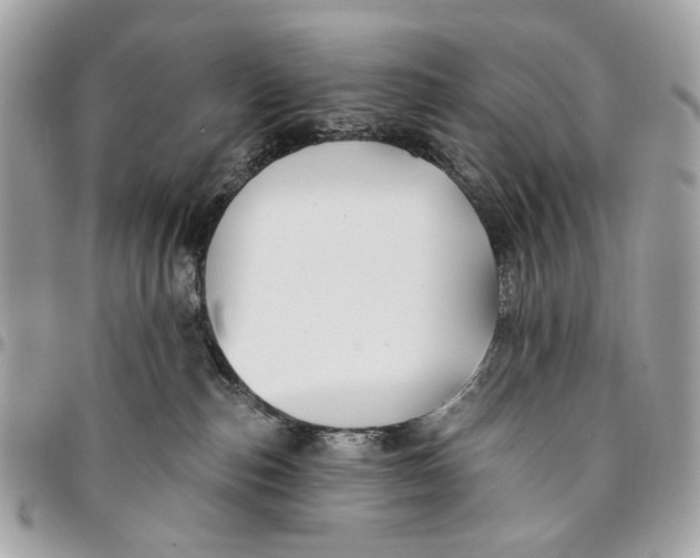 X0000096150187200802081420