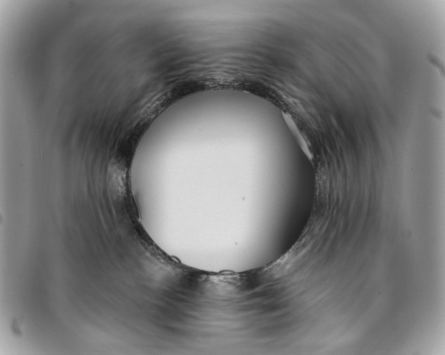 X0000096150188200802081420