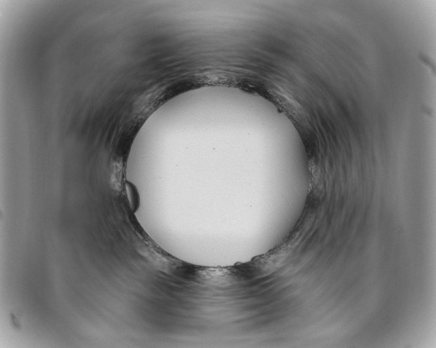 X0000096150189200802081420