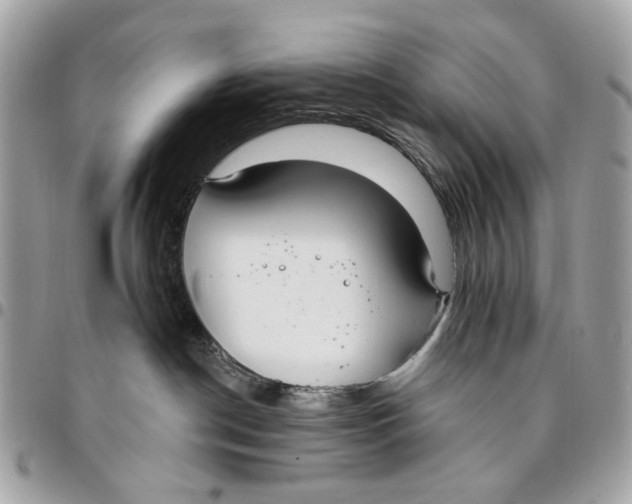 X0000096150190200802081420