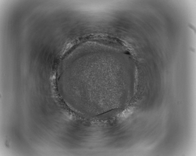 X0000096150192200802081420