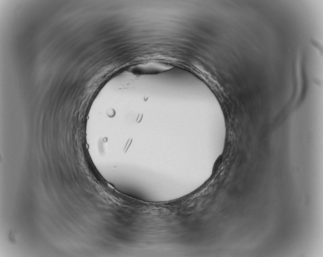 X0000096150193200802081419