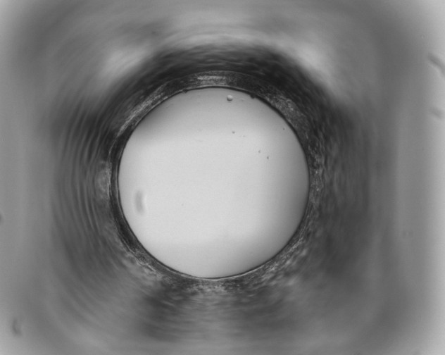 X0000096150194200802081419