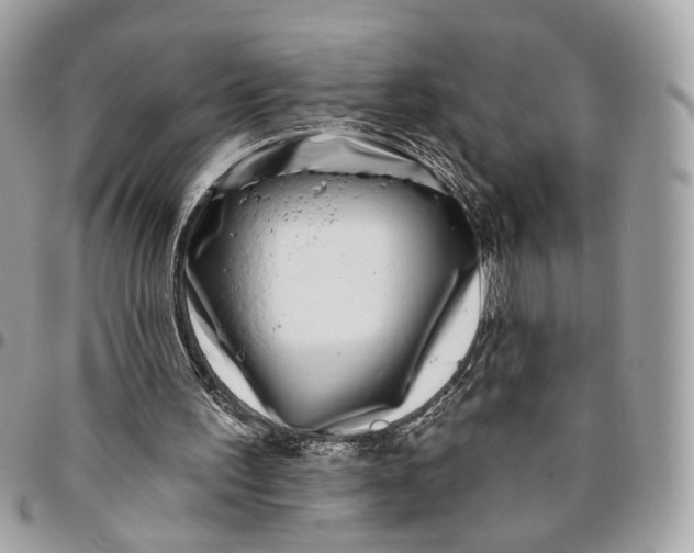 X0000096150195200802081419